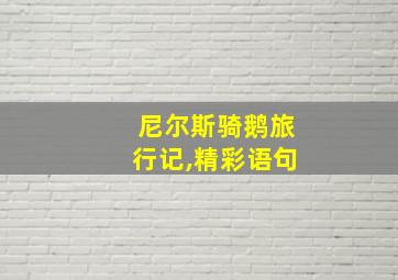 尼尔斯骑鹅旅行记,精彩语句