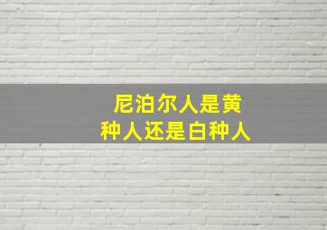 尼泊尔人是黄种人还是白种人