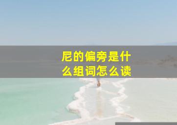 尼的偏旁是什么组词怎么读