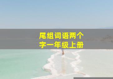 尾组词语两个字一年级上册