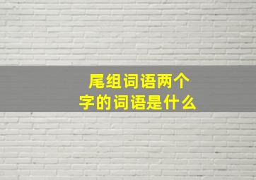 尾组词语两个字的词语是什么