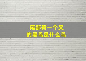 尾部有一个叉的黑鸟是什么鸟