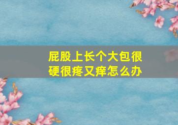 屁股上长个大包很硬很疼又痒怎么办