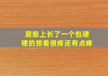 屁股上长了一个包硬硬的按着很疼还有点痒