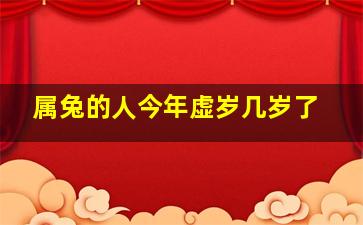 属兔的人今年虚岁几岁了