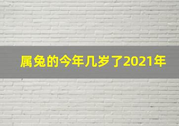 属兔的今年几岁了2021年