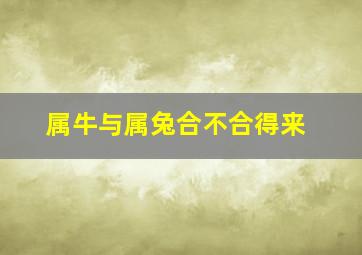 属牛与属兔合不合得来