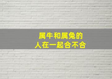 属牛和属兔的人在一起合不合