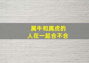 属牛和属虎的人在一起合不合