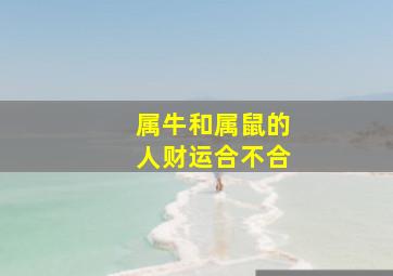 属牛和属鼠的人财运合不合