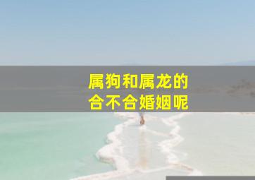 属狗和属龙的合不合婚姻呢