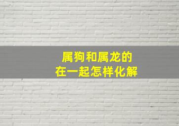 属狗和属龙的在一起怎样化解