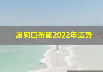 属狗巨蟹座2022年运势