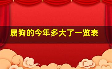 属狗的今年多大了一览表