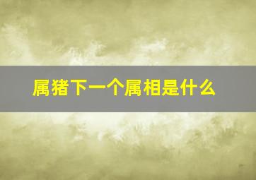 属猪下一个属相是什么