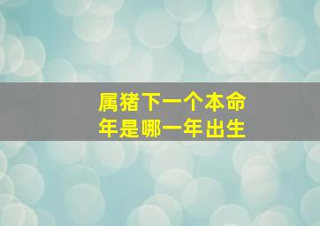 属猪下一个本命年是哪一年出生