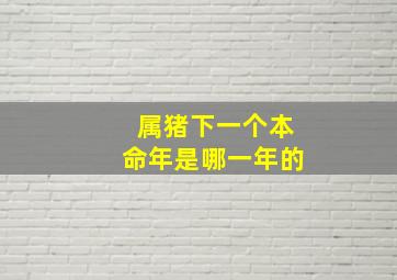 属猪下一个本命年是哪一年的