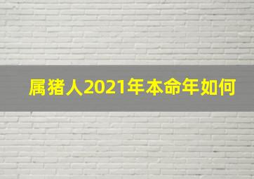 属猪人2021年本命年如何