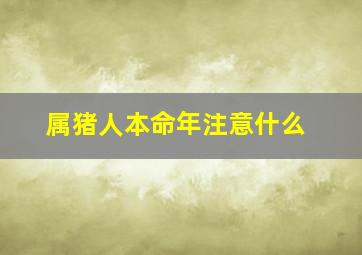 属猪人本命年注意什么