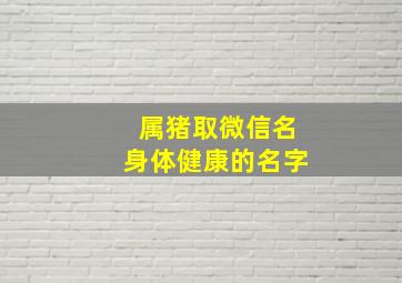 属猪取微信名身体健康的名字