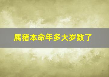 属猪本命年多大岁数了