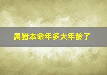 属猪本命年多大年龄了