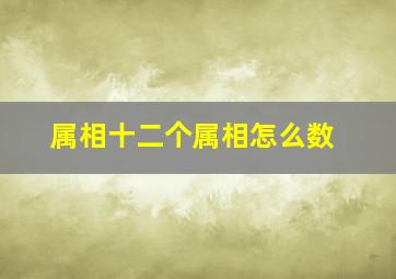 属相十二个属相怎么数