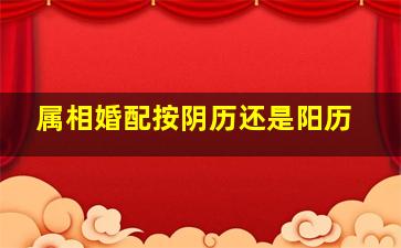 属相婚配按阴历还是阳历