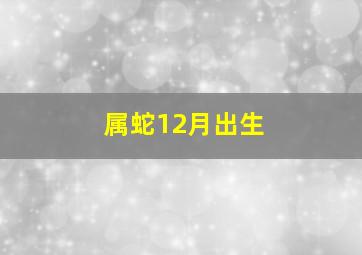 属蛇12月出生