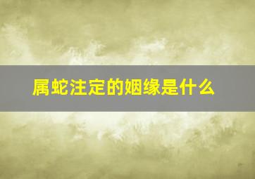 属蛇注定的姻缘是什么