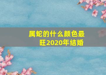 属蛇的什么颜色最旺2020年结婚