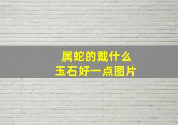 属蛇的戴什么玉石好一点图片