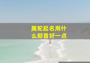 属蛇起名用什么部首好一点