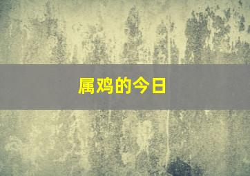 属鸡的今日