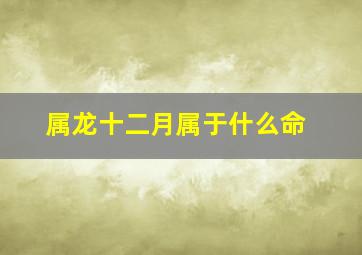 属龙十二月属于什么命