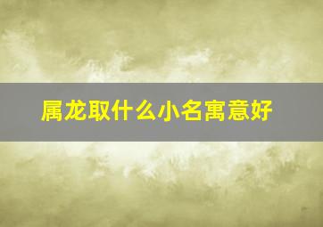 属龙取什么小名寓意好