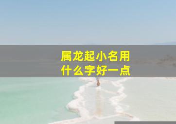 属龙起小名用什么字好一点