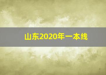 山东2020年一本线