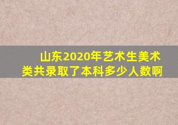 山东2020年艺术生美术类共录取了本科多少人数啊