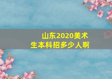 山东2020美术生本科招多少人啊