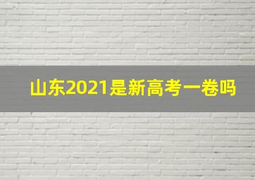 山东2021是新高考一卷吗