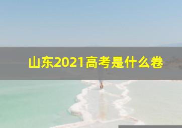 山东2021高考是什么卷