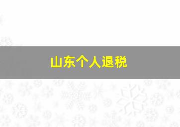 山东个人退税