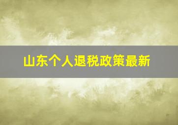 山东个人退税政策最新