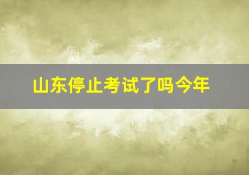 山东停止考试了吗今年