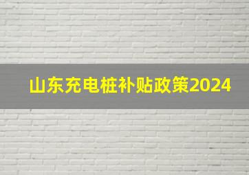 山东充电桩补贴政策2024