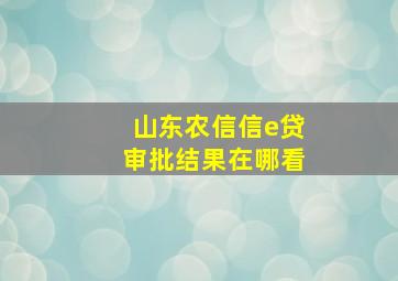 山东农信信e贷审批结果在哪看