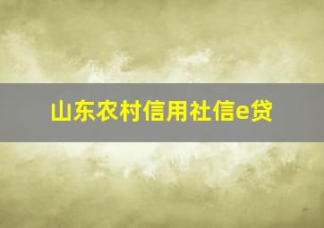 山东农村信用社信e贷