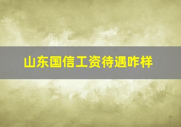 山东国信工资待遇咋样