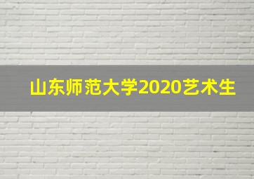 山东师范大学2020艺术生